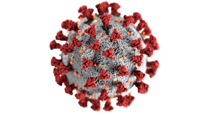Virus do corona